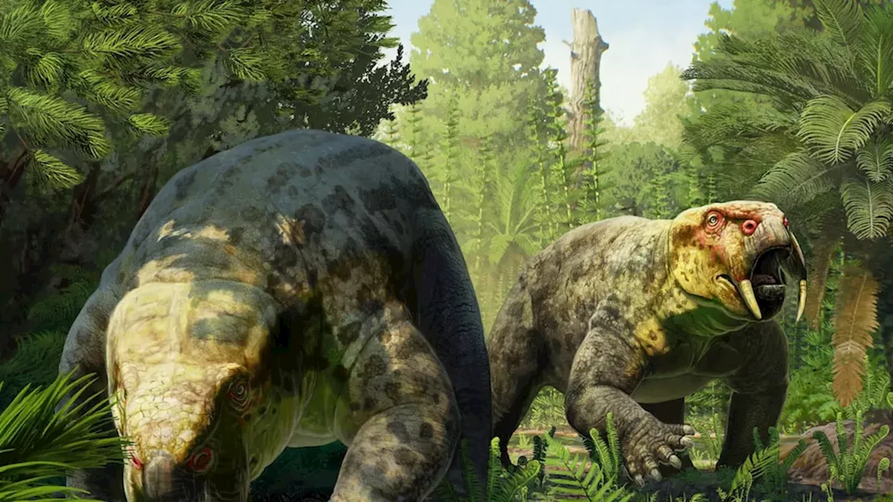 New 240-Million-Year-Old Dicynodont Species Discovered in Tanzania