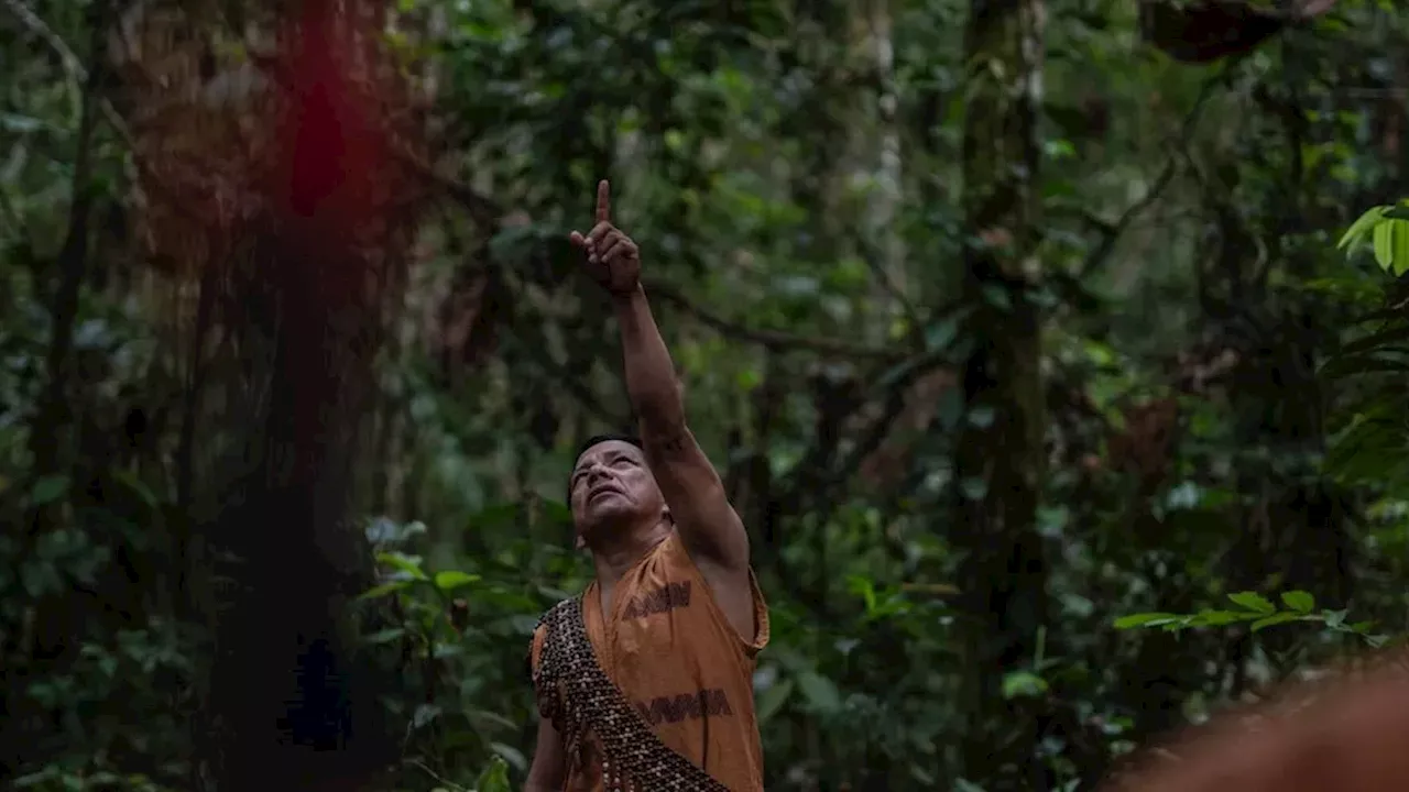 The Blood Price of Green Energy: 124 Land Defenders Slain in 2025