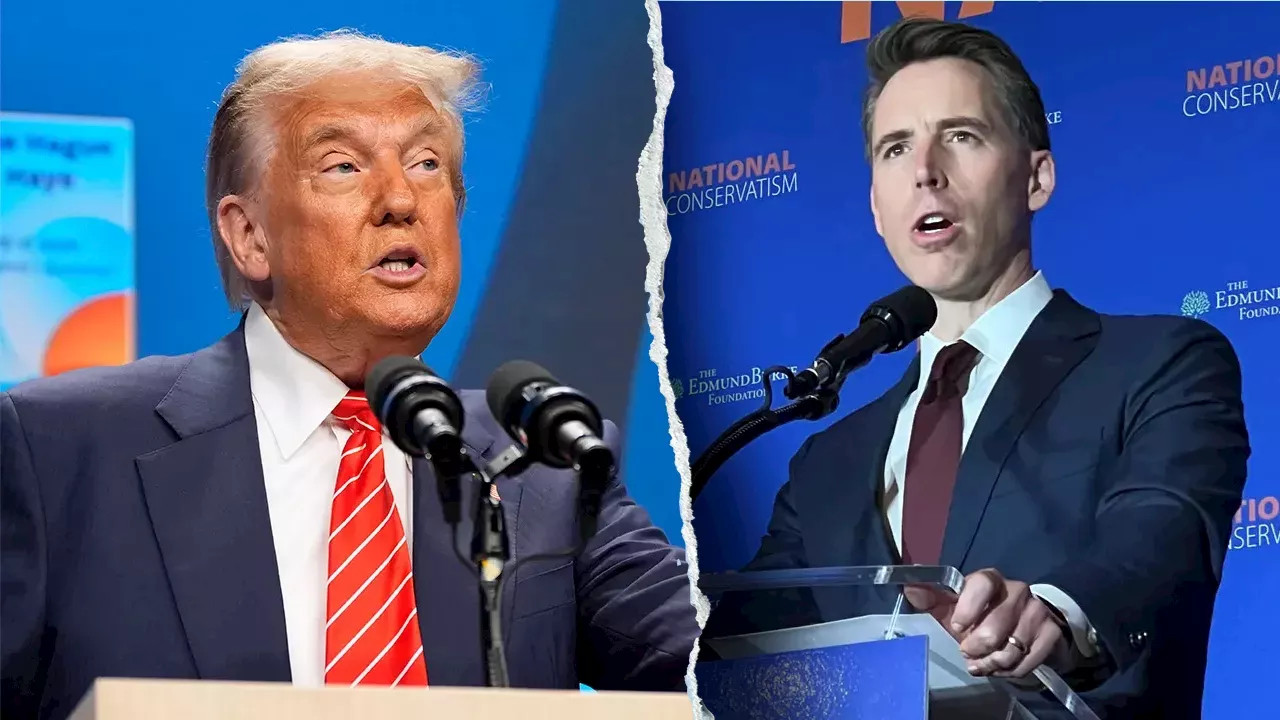 Hawley Moves to End Opportunity Zone Tax Break for Data Centers