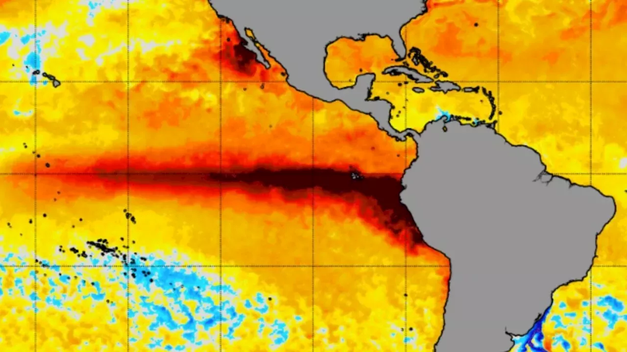 Pacific Heatwave: The Record-Breaking El Niño Threatening 2027 Temperatures