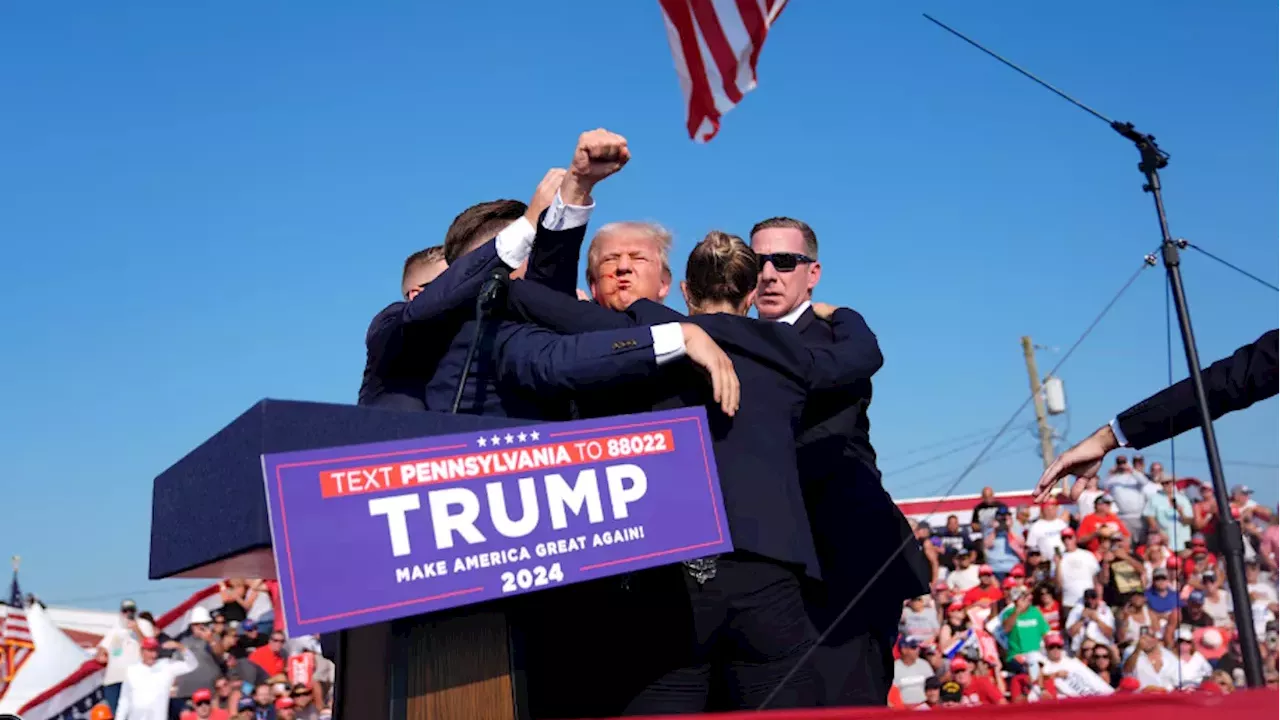 New Info Emerges on Attempted Trump Assassin Thomas Crooks' Online Presence
