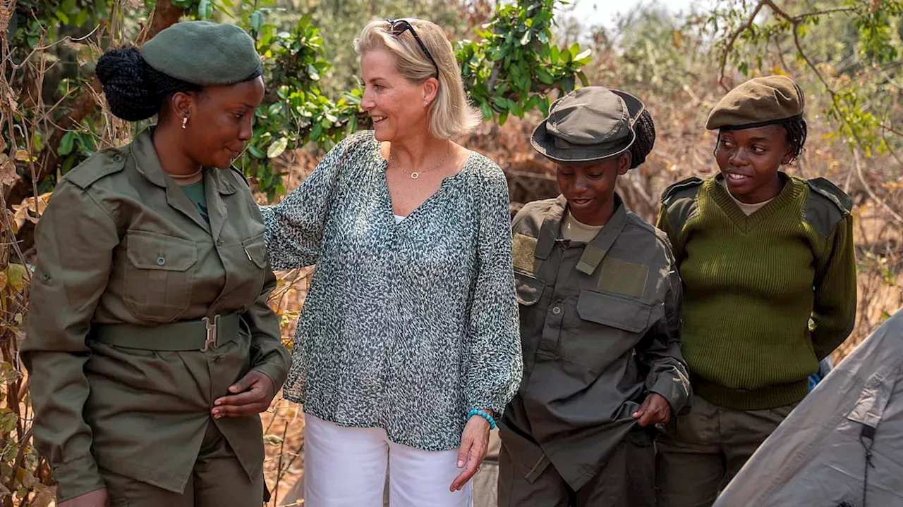 Royal Diplomacy in Zambia: Sophie's Mission Beyond the Protocol