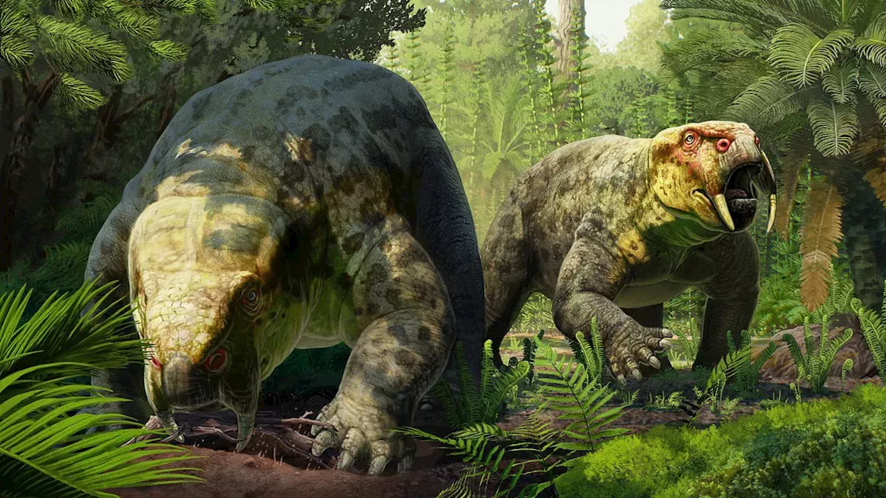 The 'Cow of the Triassic': How a Tanzanian Fossil Rewrites Early Dinosaur History