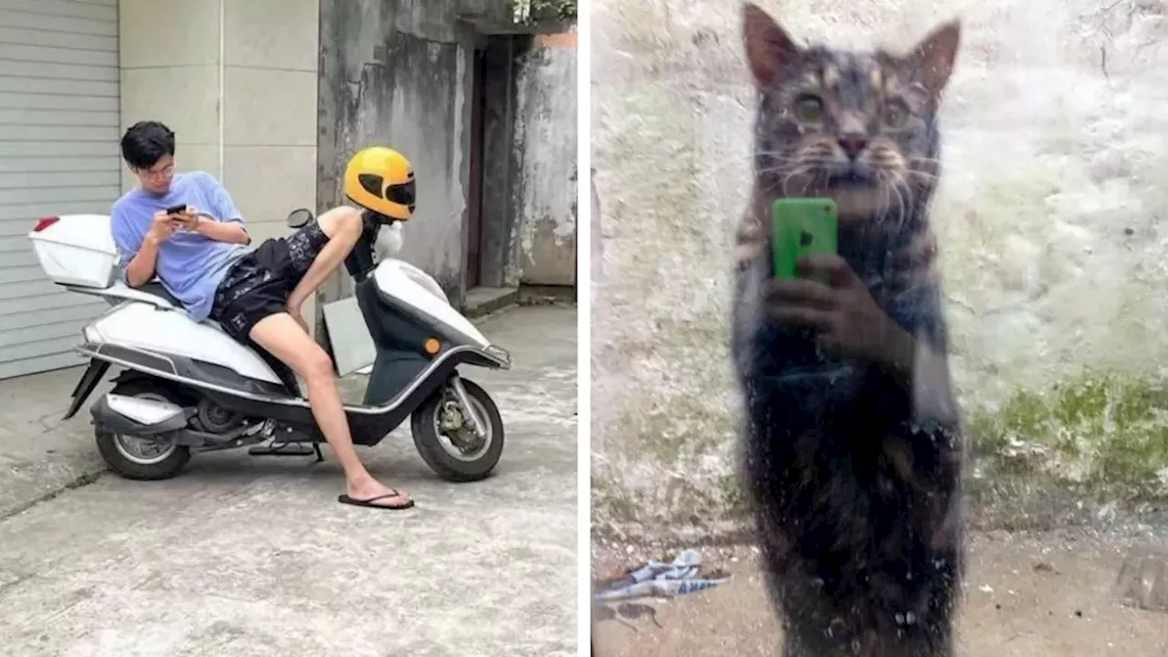 69 Truly Bizarre Things People Had To Take A Photo Of To Make Sure They're Not Hallucinating (New Pics)