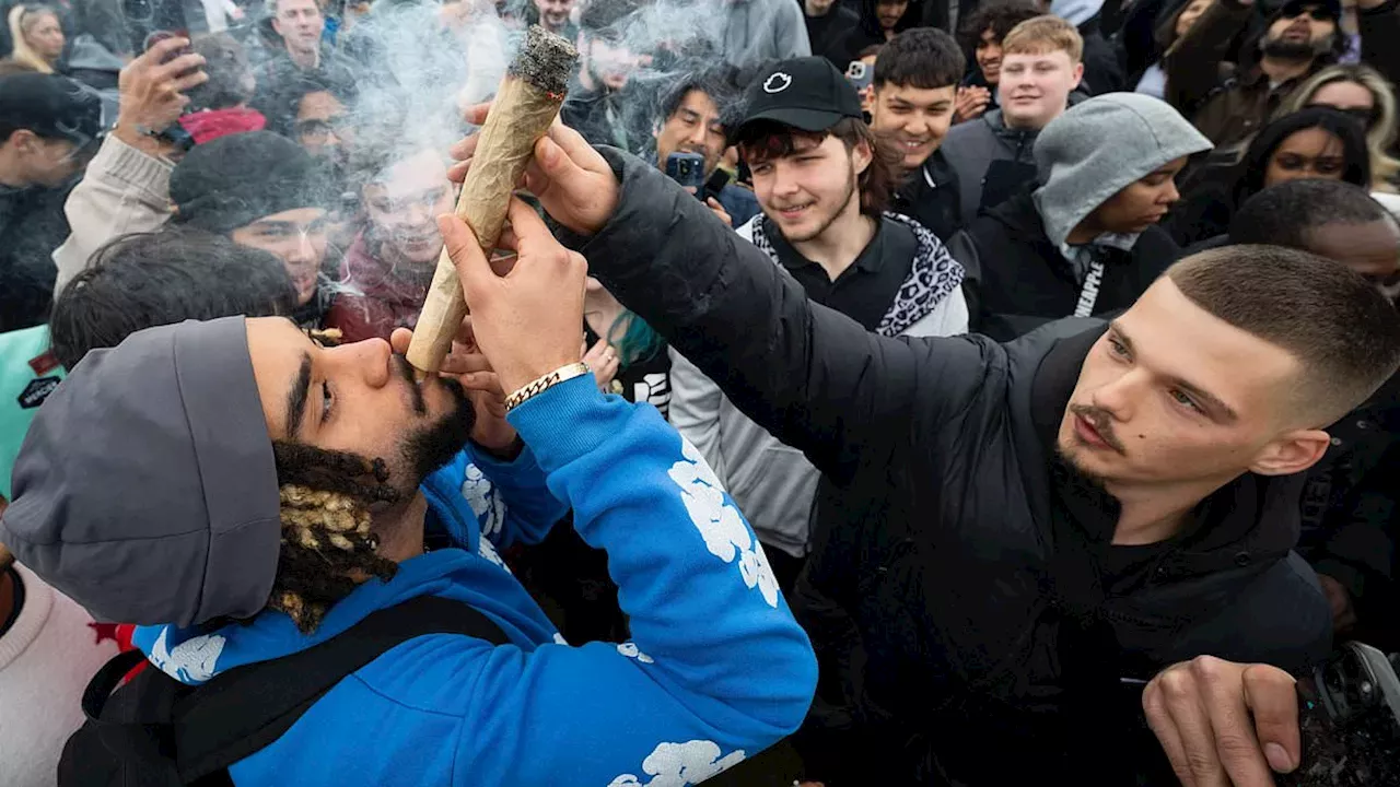 The High Cost of Silence: Why the UK is Ignoring Cannabis’s Darker Side