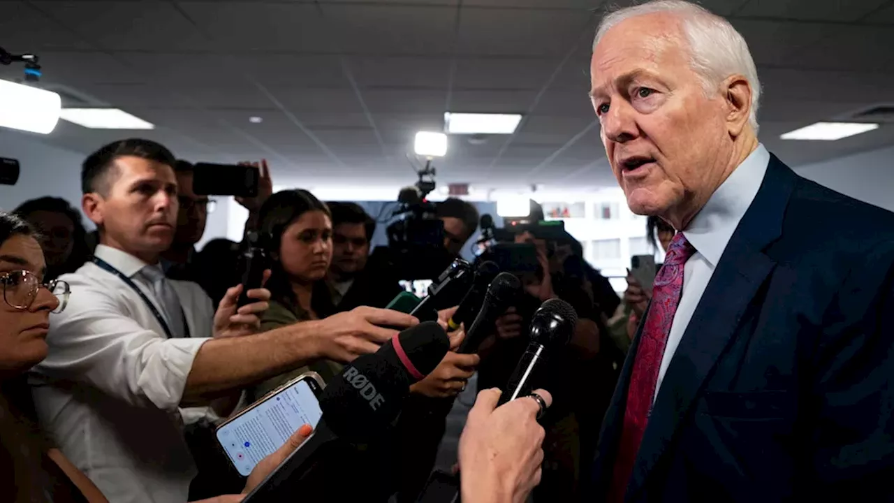 Cornyn Breaks with Bo French: A High-Stakes Gamble on GOP Rhetoric