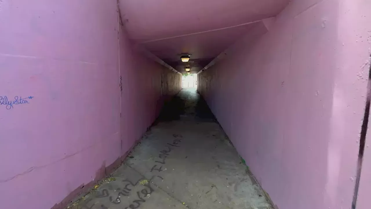 Pink Walls, Public Tensions: Hamilton Restores the 'Heated Rivalry' Tunnel