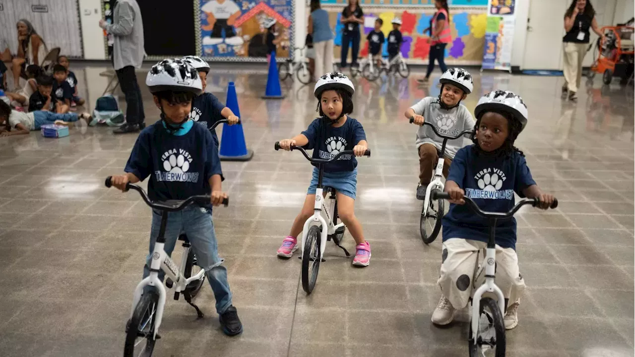 From Backyards to Gymnasiums: The Rise of the Kindergarten Cycling Curriculum