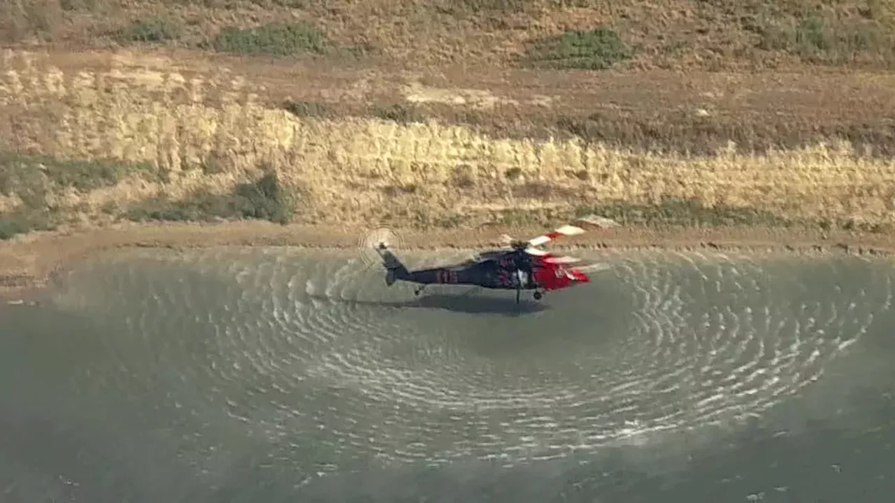North Texas Fire Crisis: The Struggle to Contain the 90,000-Acre Ross Fire