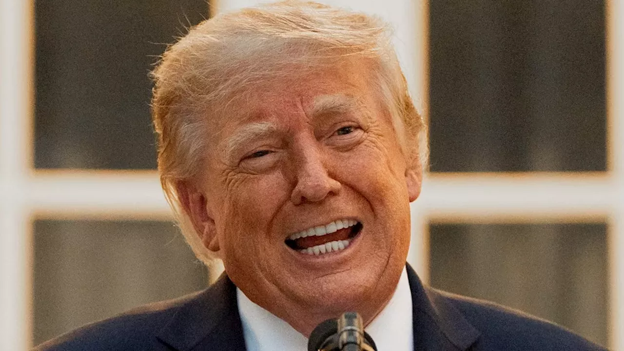 The Electrocution vs. Shark Paradox: Decoding Trump's Absurd Boat Safety Tale
