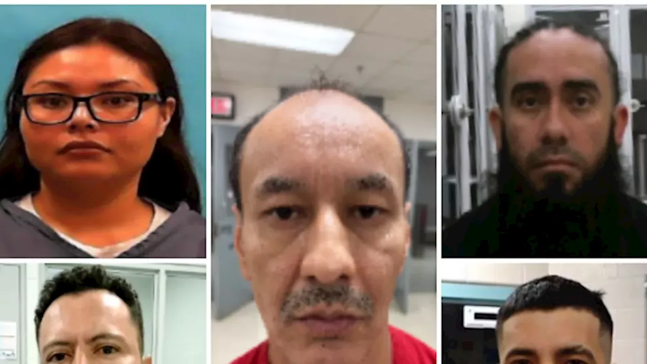 ICE’s Targeted Week of Deportations Focuses on Violent Criminals
