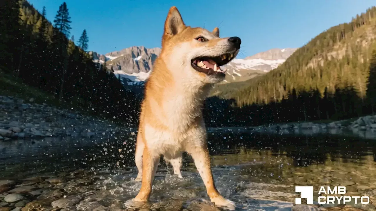 Memecoin Rally Outpaces Bitcoin as Shiba Inu Gains Momentum