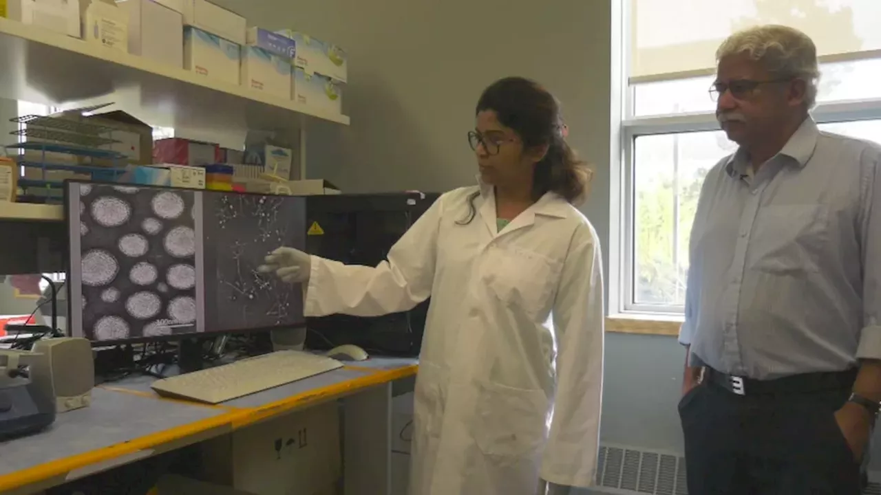 Can Nanoparticles Reverse Alzheimer's? A University of Alberta Breakthrough