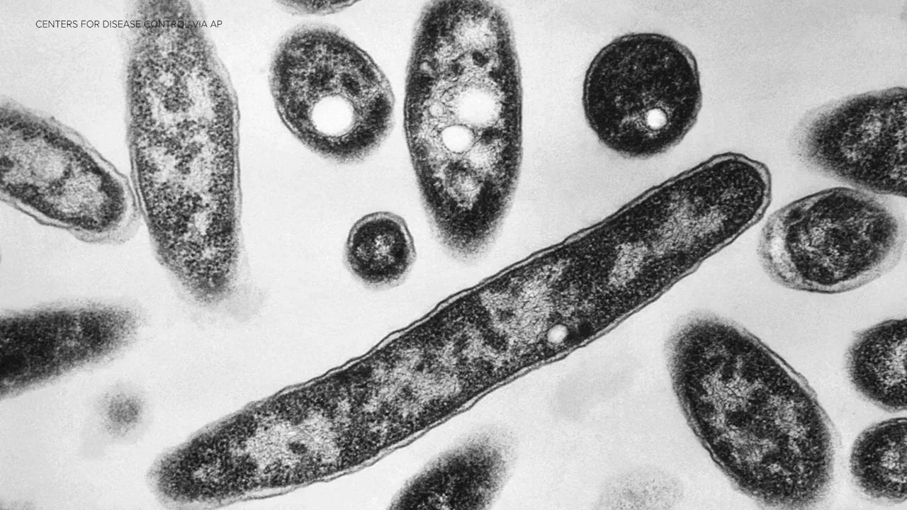 South Bronx Legionnaires' Outbreak: Two Deaths Confirmed Amid Ongoing Investigation