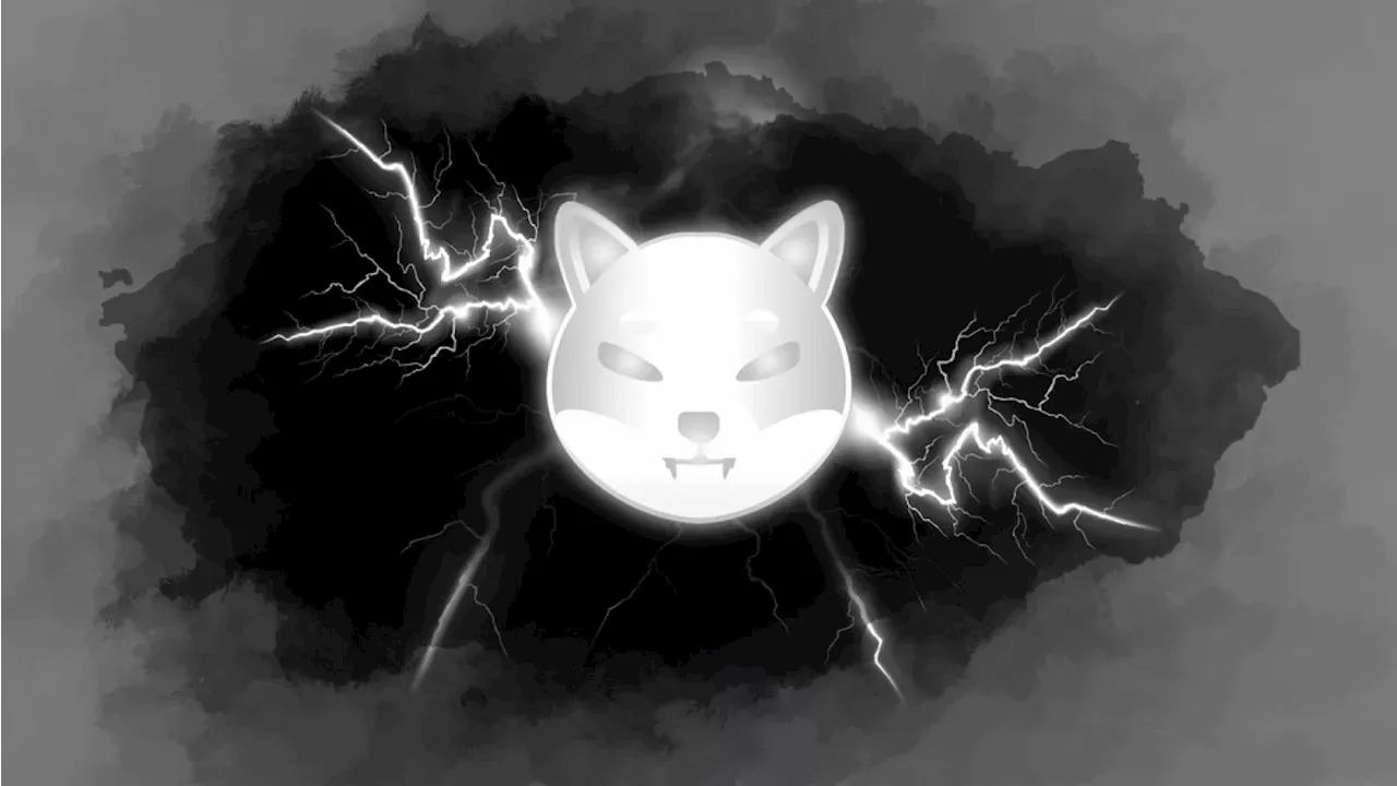 The SHIB Inflow Paradox: Why Massive Exchange Deposits Aren't Crashing the Price
