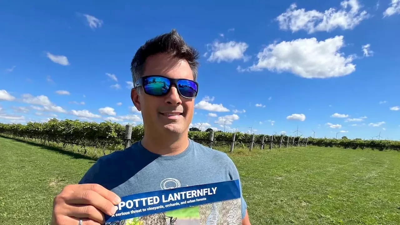 Canada's First Live Spotted Lanternfly Detection: A Crisis for Ontario Wineries?
