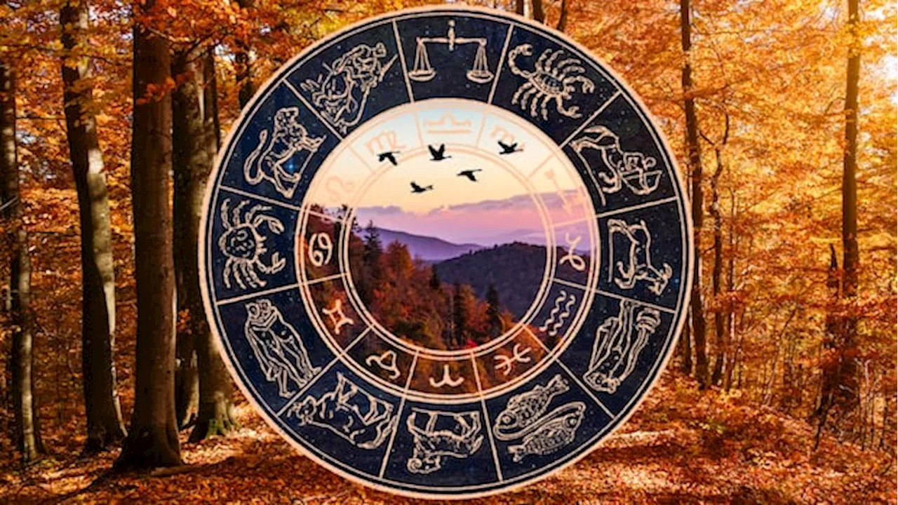 Beyond the Equinox: Navigating a Season of Retrogrades and Power Shifts