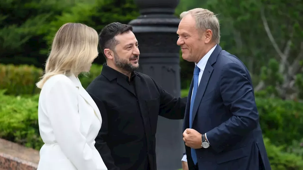 Beyond the Battlefield: The Carpathian Eight's Strategy Against Russian Hybrid War
