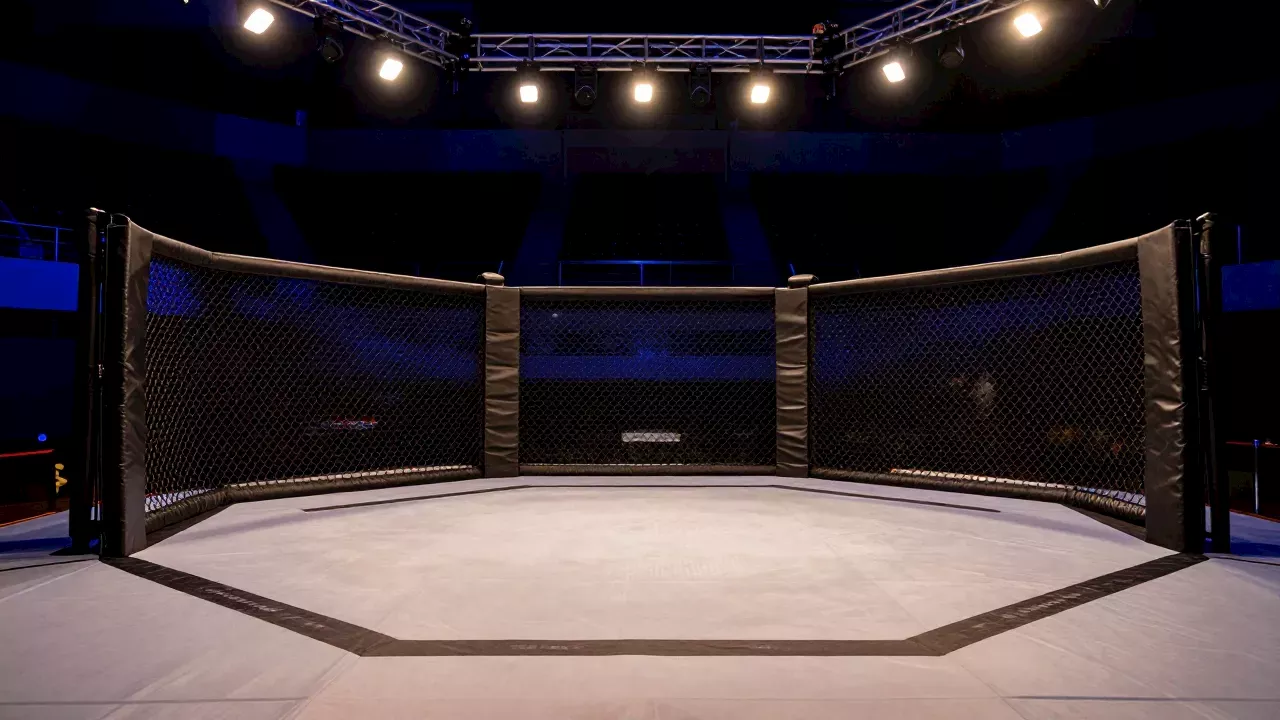 Heavyweight Stakes and Health Risks: UFC 334 Heads to Madison Square Garden