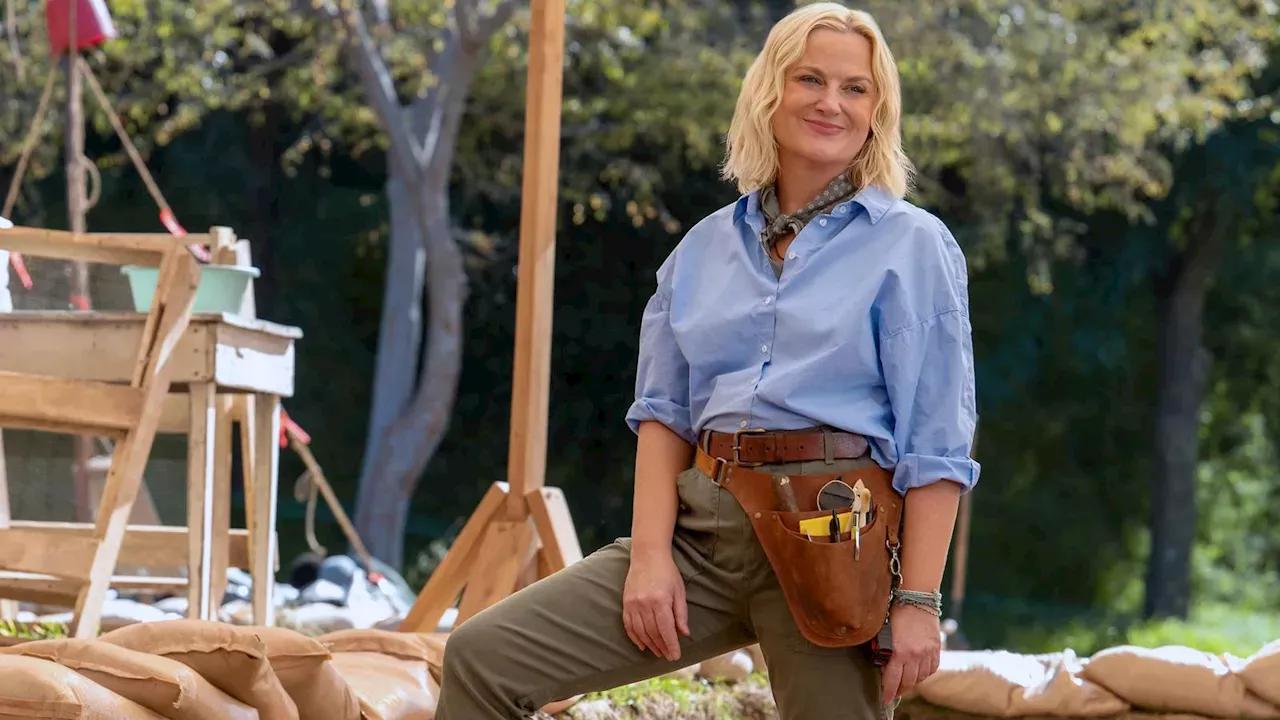 Amy Poehler and Hugh Laurie Lead Peacock’s High-Stakes Comedy 'Dig'