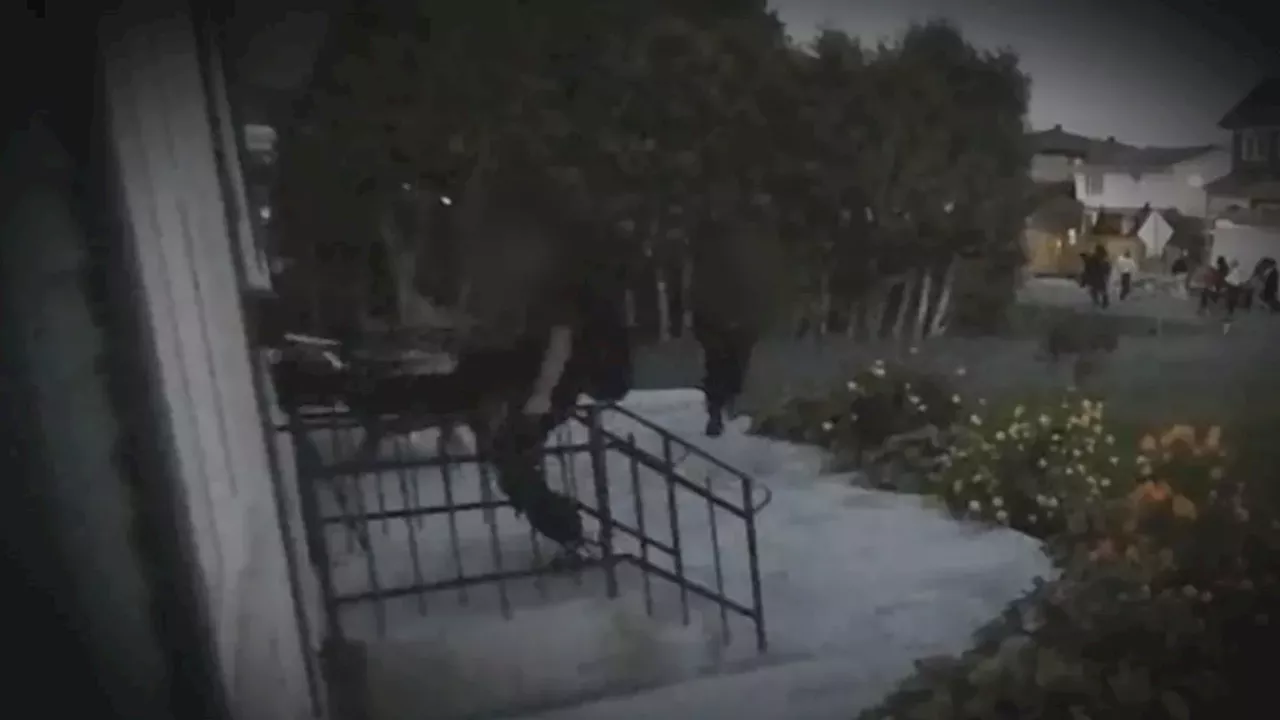 Ottawa teens caught on doorbell video kicking doors, damaging homes