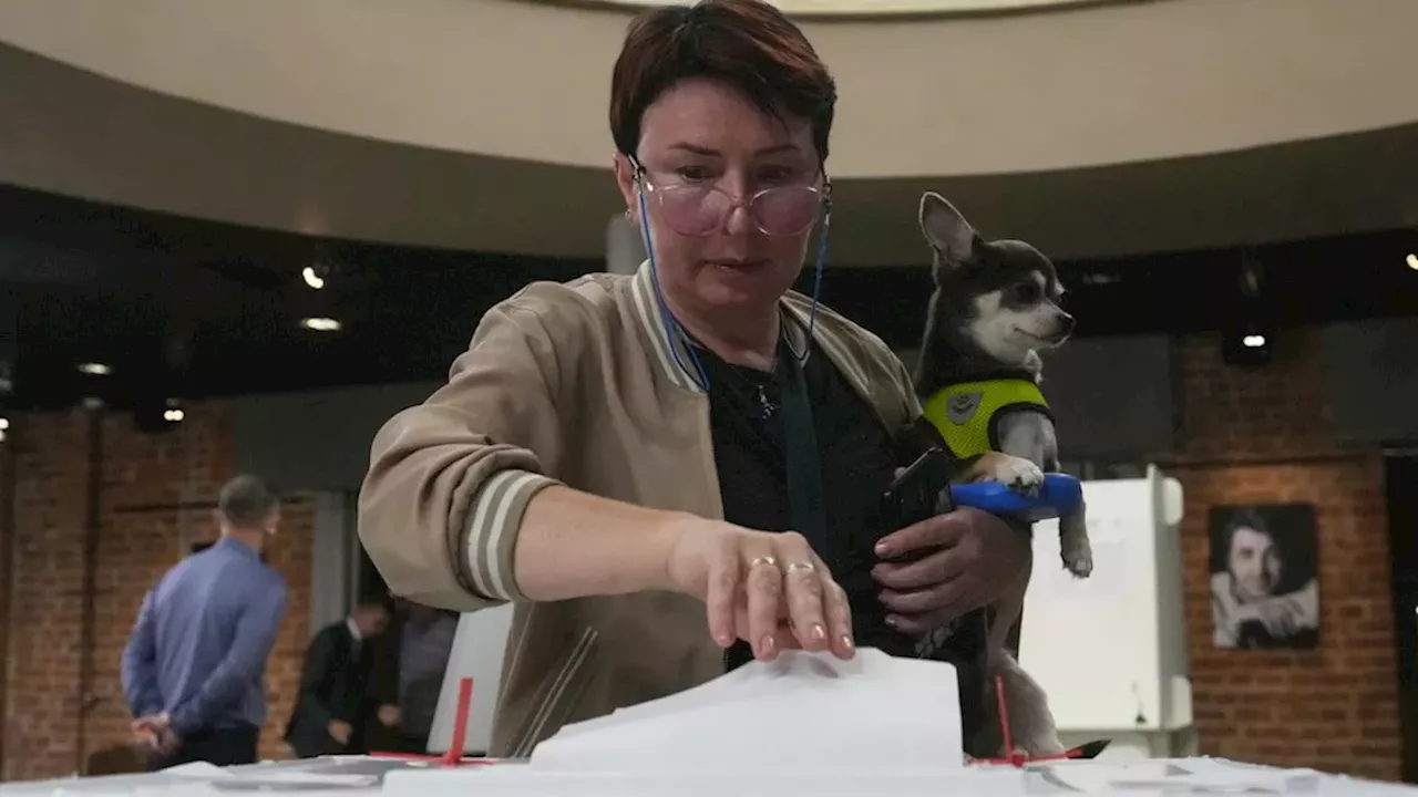 Russia's Wartime Election: A Playbook for Legitimacy Amidst Drone Strikes