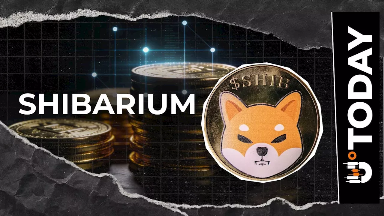 Beyond the Meme: Shiba Inu Executes Major Shibarium and Cloudflare Infrastructure Overhaul