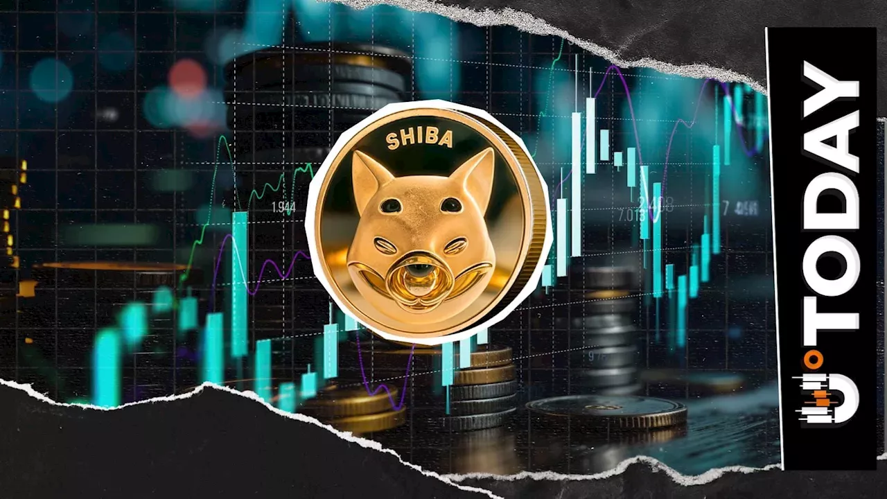 The Shiba Inu Paradox: Why a 5% Price Jump Might Be a Sell Signal