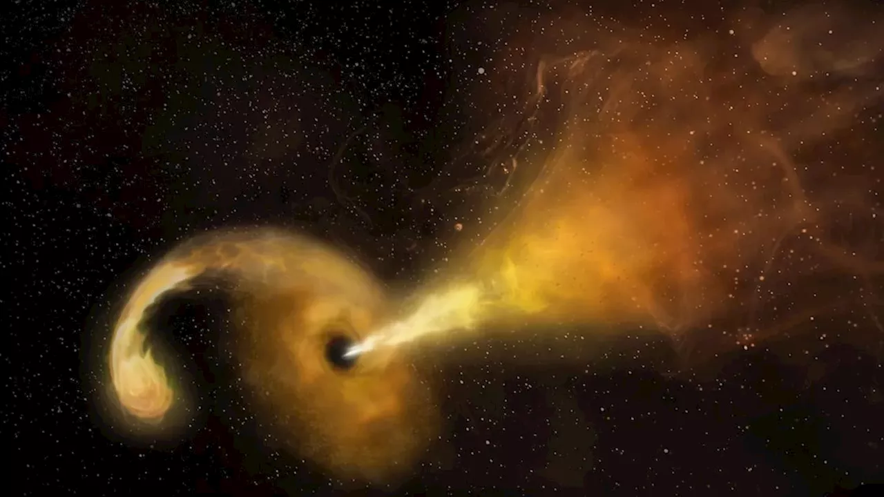 Beyond the Cosmic Vacuum: How Adelle Goodwin’s Research Redefines Black Hole Behavior