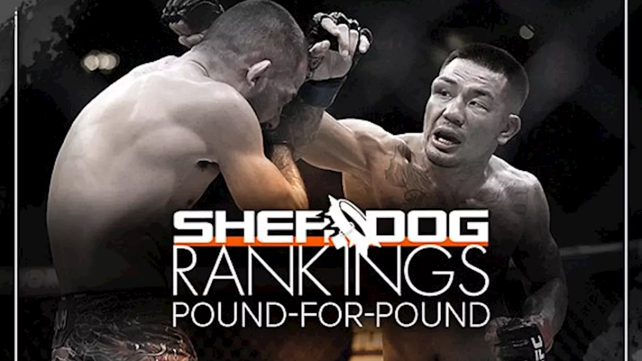 Record Breakers and Upsetters: How the Latest UFC Results Are Redrawing the Map