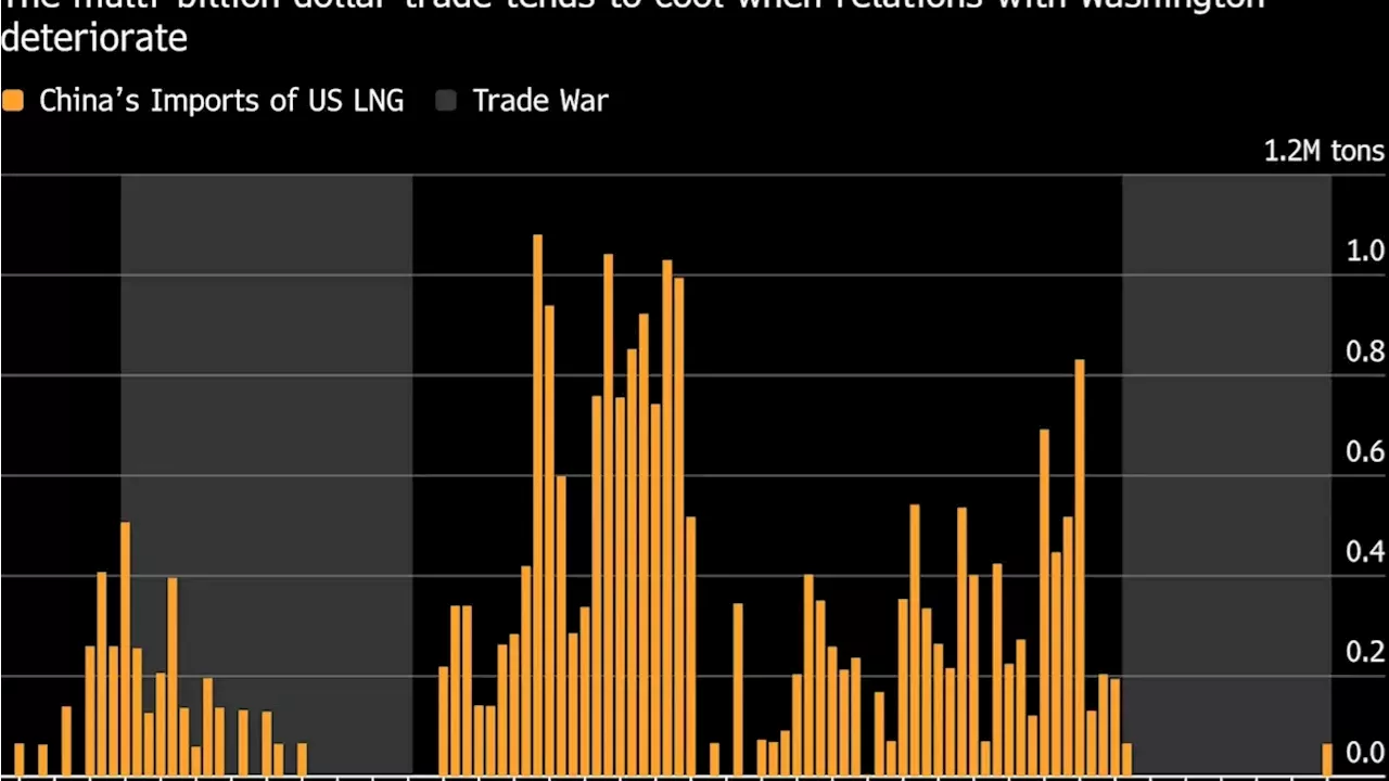 Energy Diplomacy: Xi Jinping's Washington Visit and the $6 Billion LNG Gamble