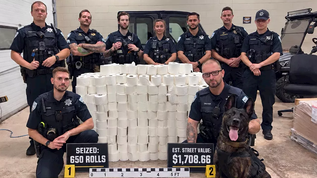 Plainfield's $1,700 Toilet Paper Bust: When Homecoming Pranks Drain Police Resources