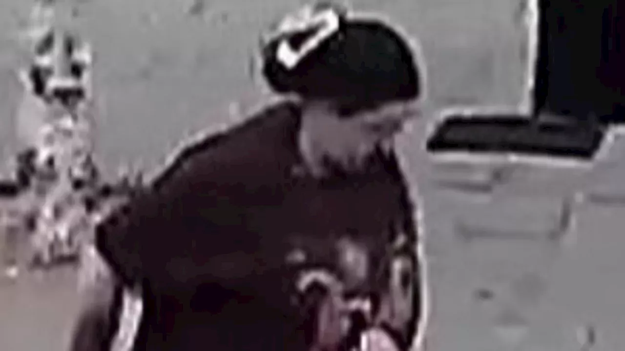 Southampton Dog Attack: Police Seek Woman After Toddler Injured at Shirley Precinct