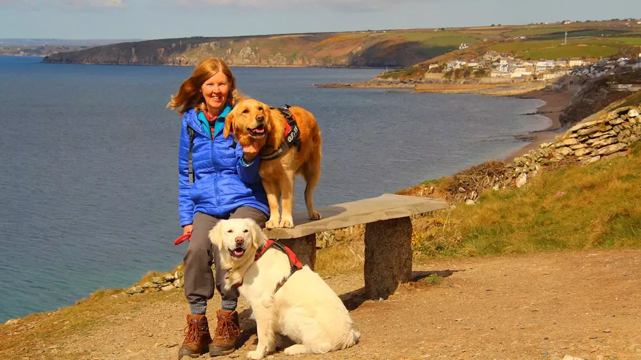 The £20,000 Lodging Hack: How Pet-Sitting is Redefining Budget Travel