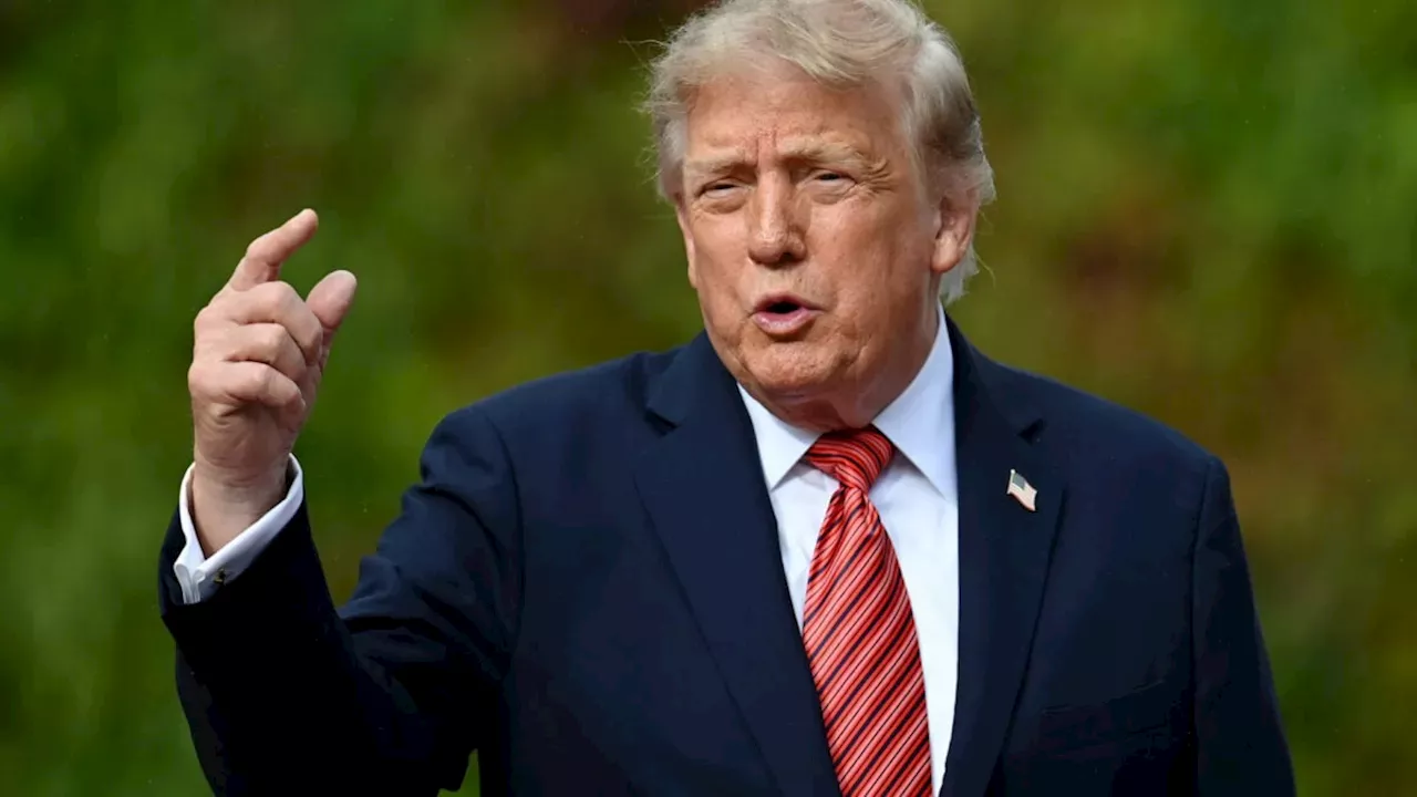 Trump Announces 'AI Force' and Plans to Appoint AI Czar to Safeguard Industry