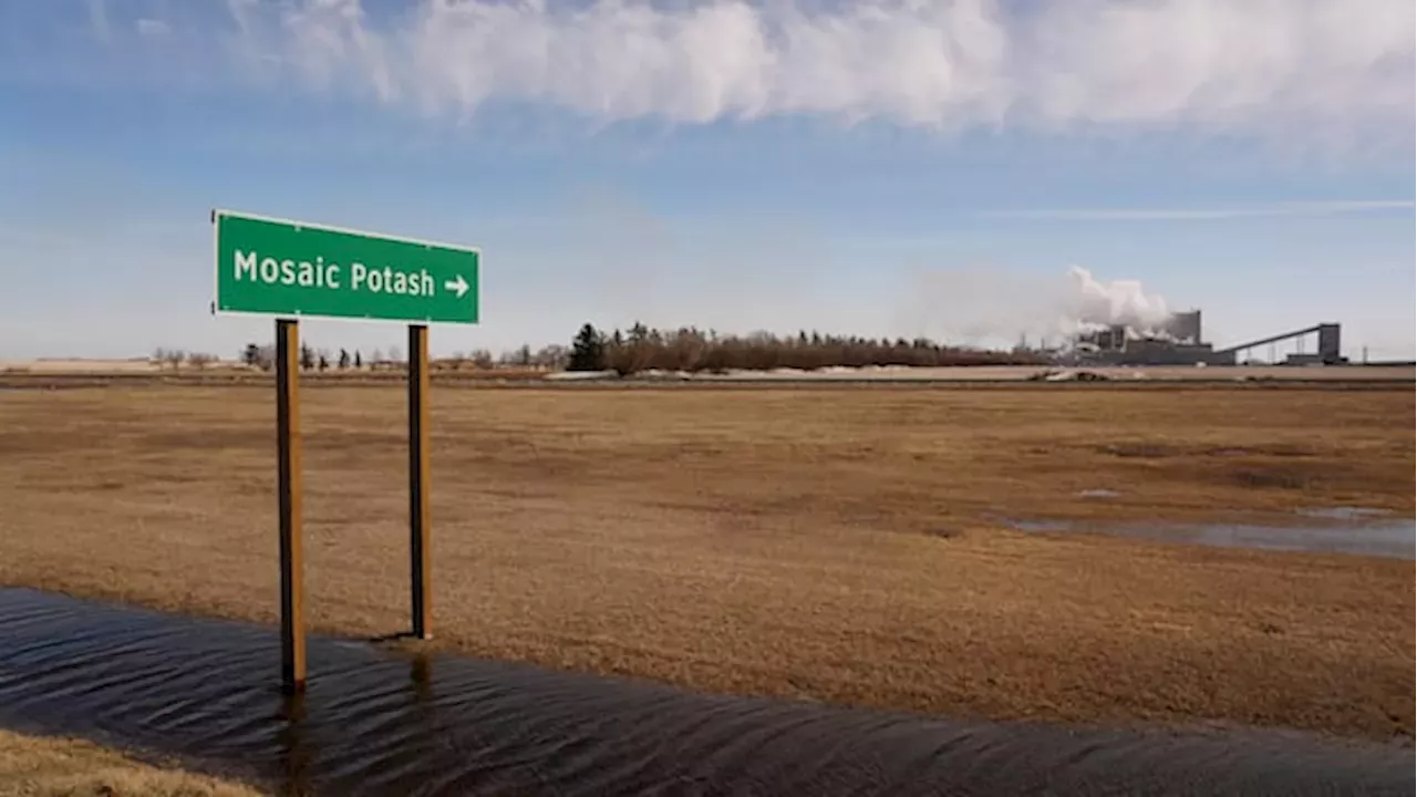 Trump Targets Belarus Potash to Break Canada's Fertilizer Dominance