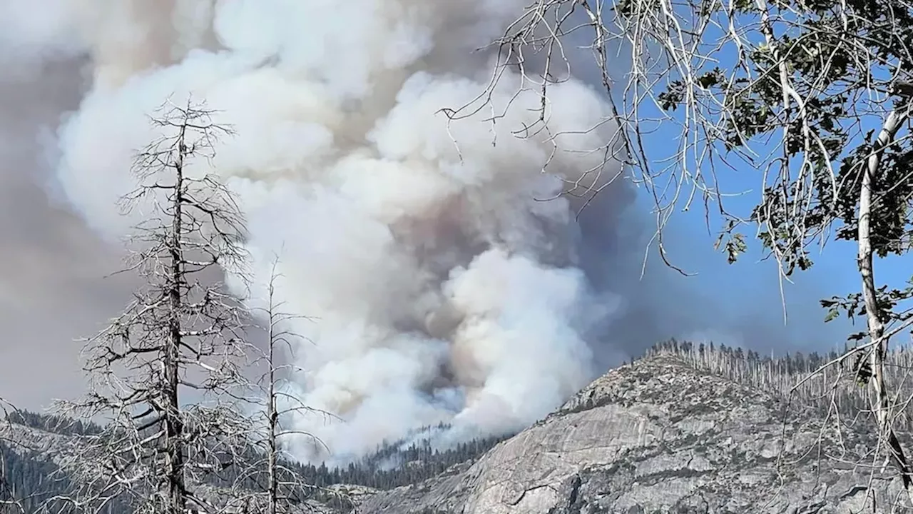 Tragedy at Yosemite: Two Pilots Perish in Dome Fire Helicopter Crash