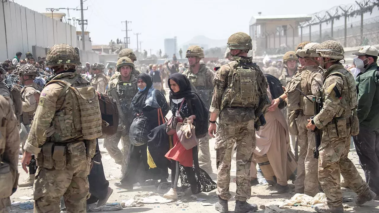 The Billion-Pound Failure: Unpacking the Chaos of Operation Warm Welcome