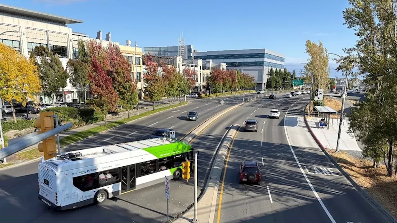 Victoria Business Leaders Demand Halt to Downtown Bus Lane Expansion