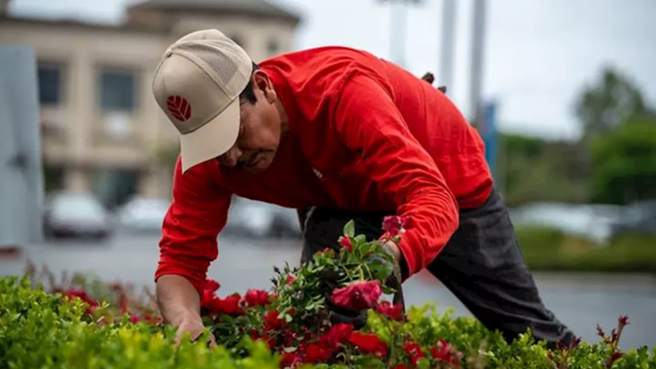 The High Cost of Green: California's Gardening Workers Face Equipment Gap After Newsom Veto