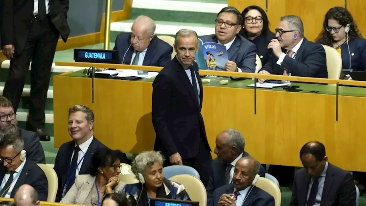 Carney’s $100M Palestinian Aid Pledge: A Strategic Bet on Security and Stability