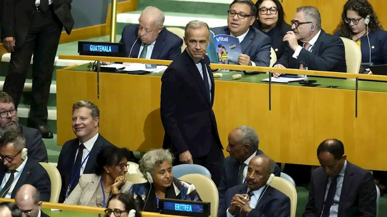 Canada’s $100 Million UN Pledge: Balancing Humanitarian Aid and Security Training