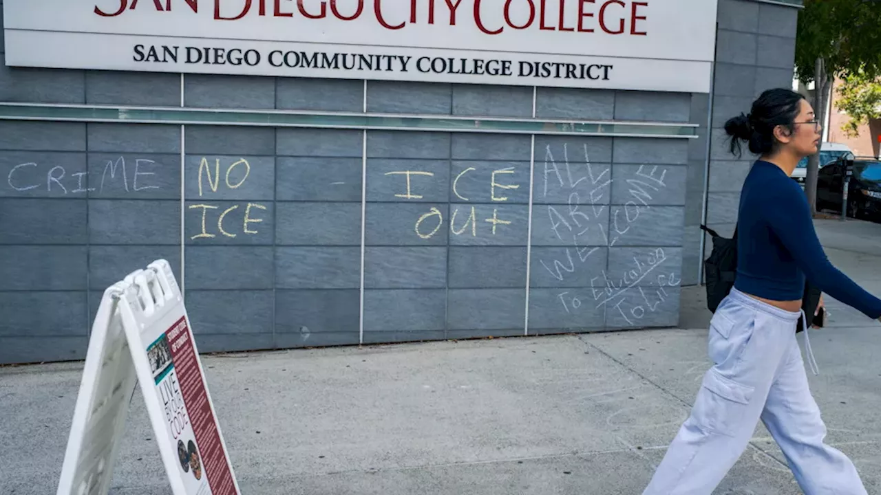 Campus Terror: Haitian Student Denied Bond After ICE Raid Near San Diego City College