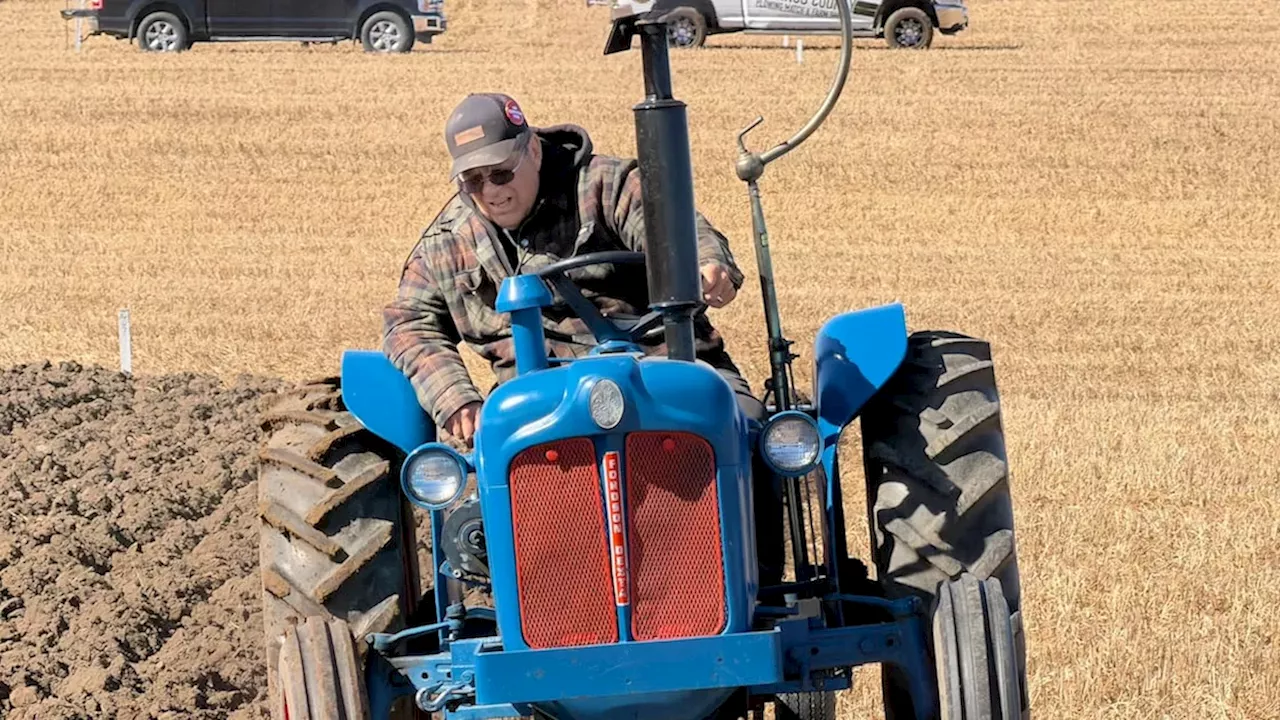 More Than a Straight Line: The Cultural Weight of the International Plowing Match