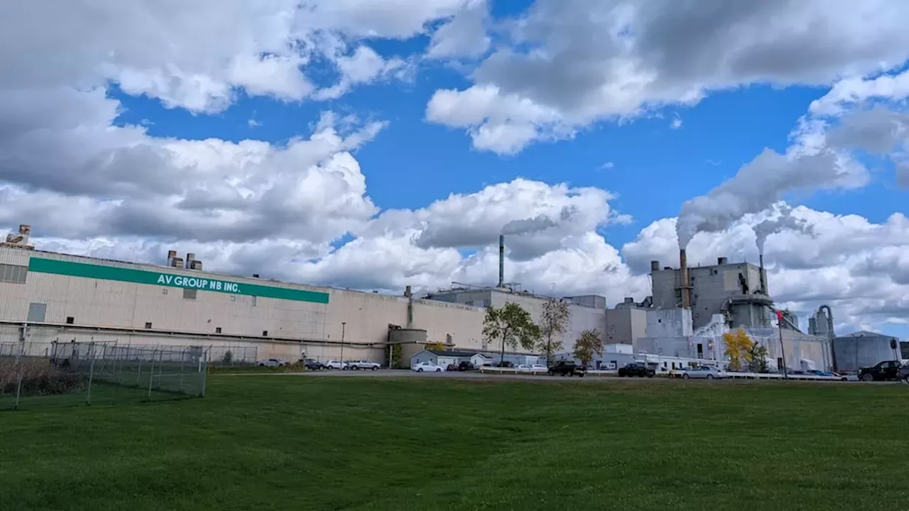 New Brunswick's Pulp Crisis: The Fight to Save AV Nackawic