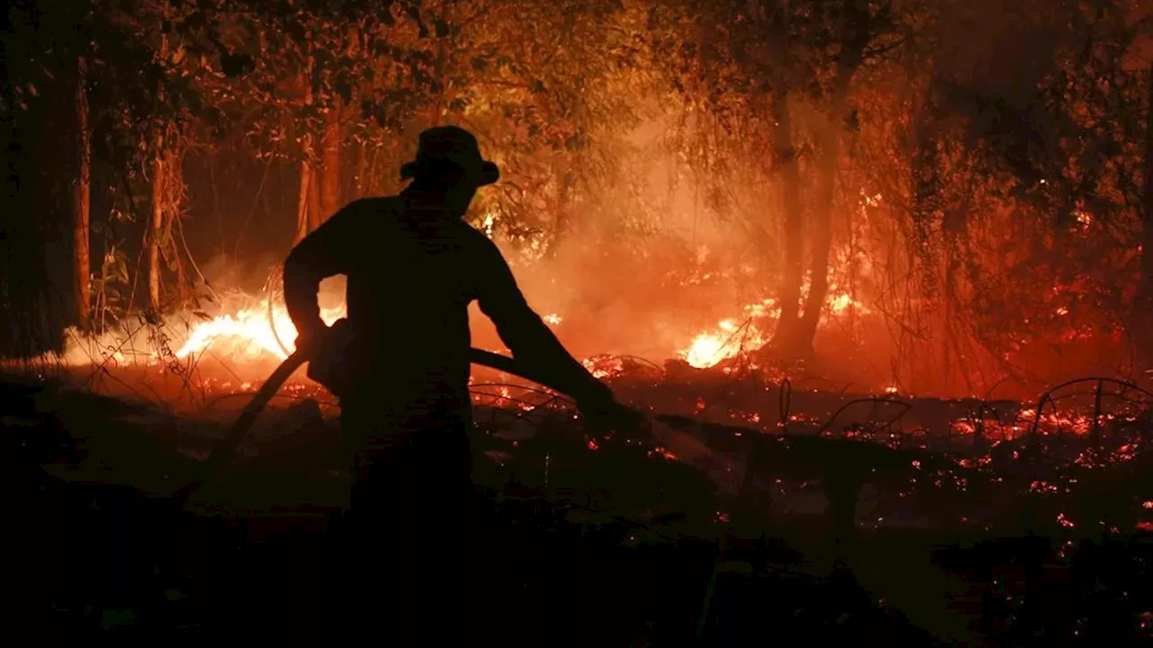 451,000 Extra Deaths From Extreme Heat by 2027: The Super El Nino Warning