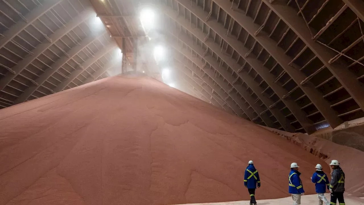 Trump’s Potash Pivot: Why the Belarus Deal Hit a Logistical Wall