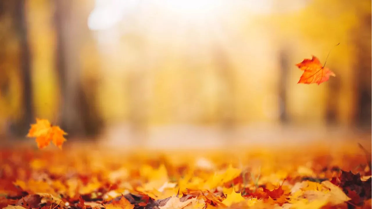 Bitcoin Defies Seasonal Slump with Best September in 14 Years