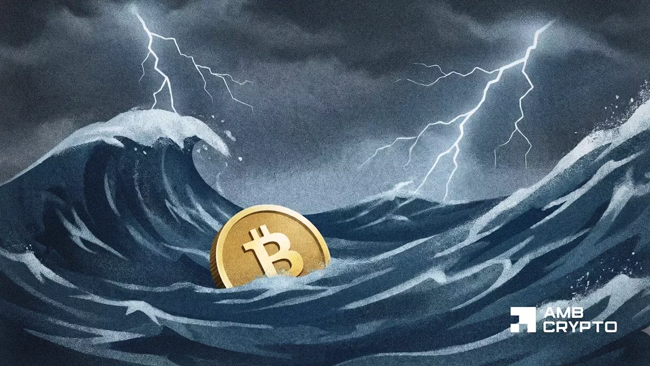 Bitcoin's Cycle Outlook: A Shallow Correction Amid Macro Uncertainty