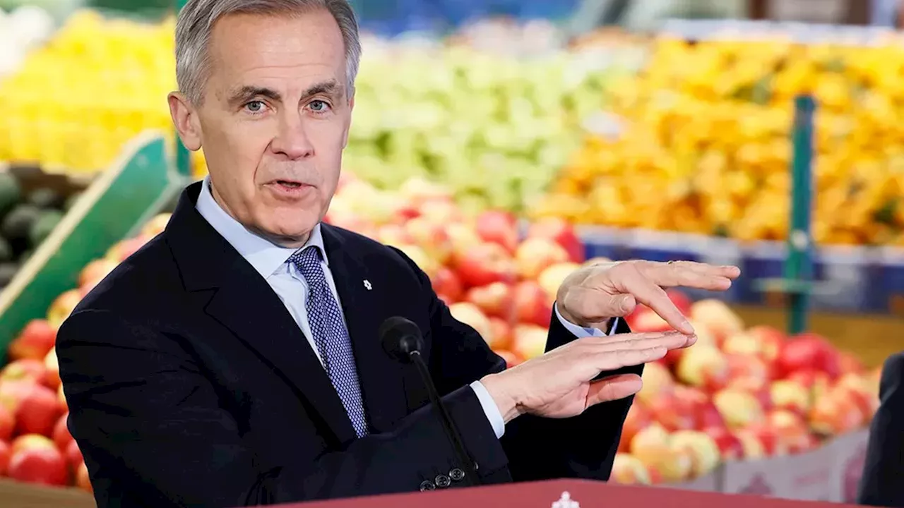Carney’s One-Year Approval Promise: Can a New Slogan Unlock Canada’s Resource Wealth?